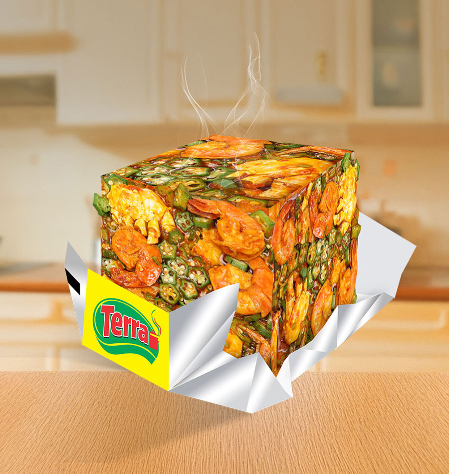 TGI-TERRA-CUBE